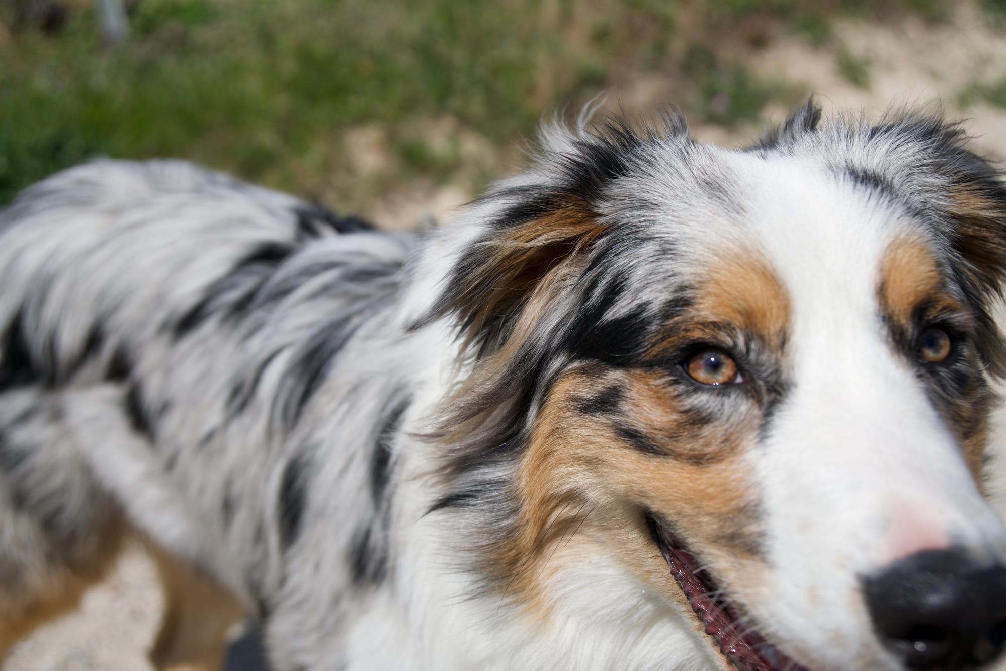 Bout de semaine à BLV